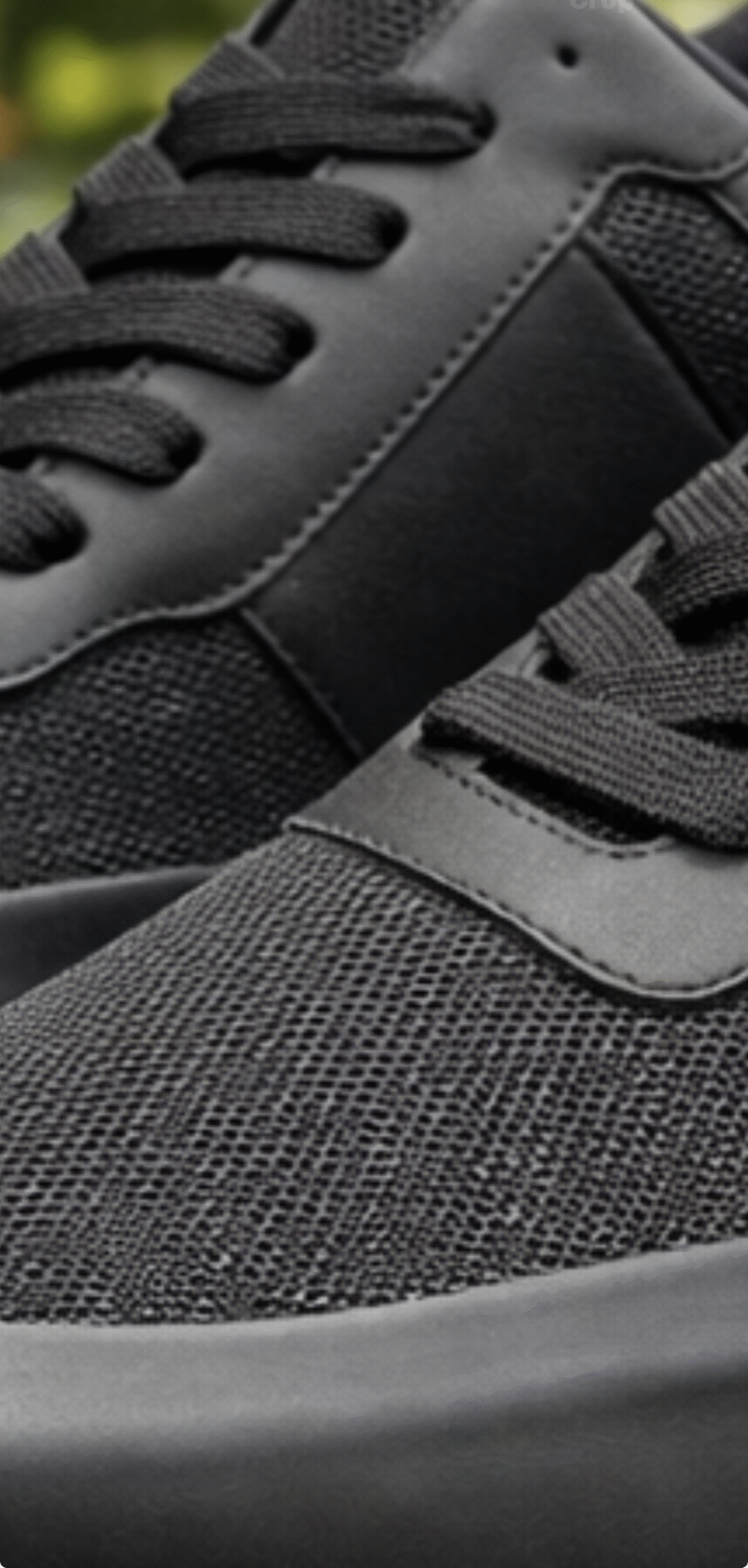 auto draft auto draft